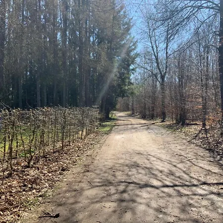 Hencoop 2 Kitchen Bathroom And Optional Sauna