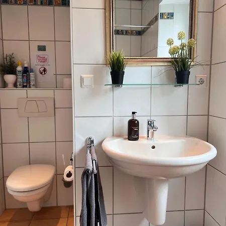 Hencoop 2 Kitchen Bathroom And Optional Sauna * Kaiserslautern