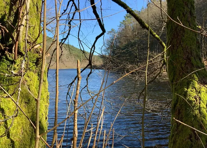 公寓 Hencoop 2 Kitchen Bathroom And Optional Sauna