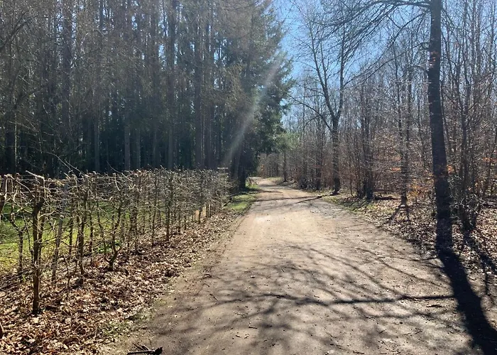 Hencoop 2 Kitchen Bathroom And Optional Sauna