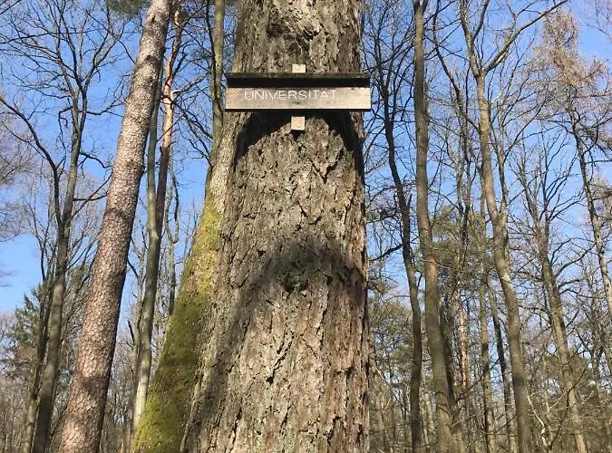 Hencoop 2 Kitchen Bathroom And Optional Sauna *
