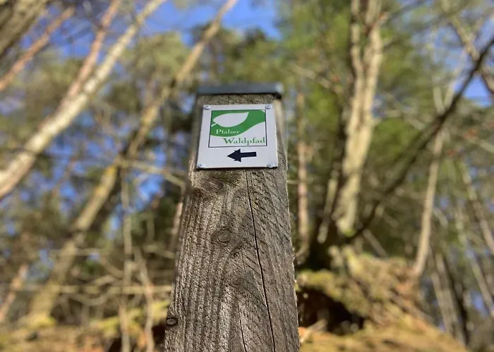 Hencoop 2 Kitchen Bathroom And Optional Sauna 公寓 凯撒斯劳滕