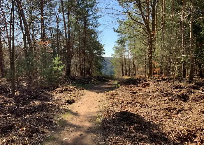 Hencoop 2 Kitchen Bathroom And Optional Sauna 公寓 *