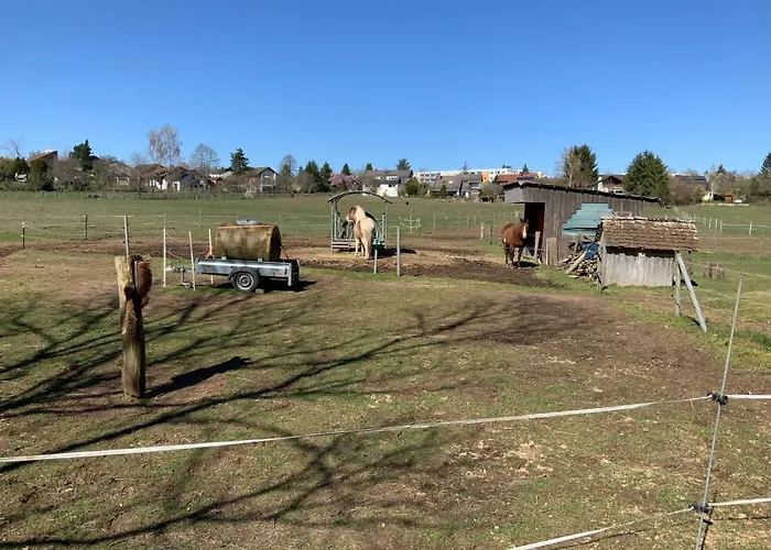 公寓 Hencoop 2 Kitchen Bathroom And Optional Sauna