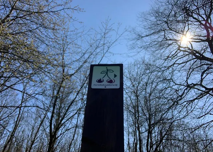 Hencoop 2 Kitchen Bathroom And Optional Sauna 公寓