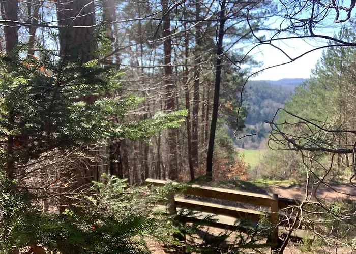 Hencoop 2 Kitchen Bathroom And Optional Sauna
