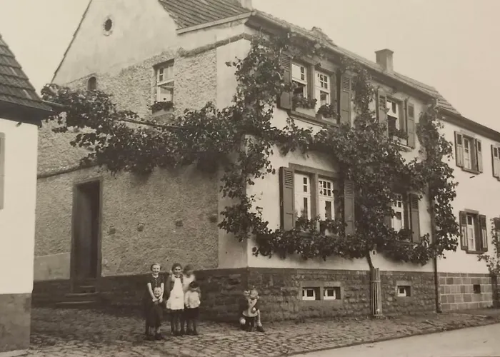 Hencoop 2 Kitchen Bathroom And Optional Sauna 凯撒斯劳滕