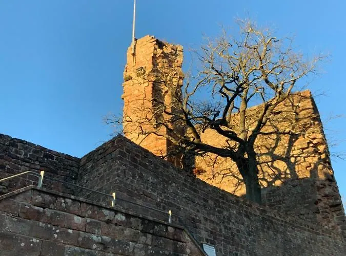 公寓 Hencoop 2 Kitchen Bathroom And Optional Sauna 凯撒斯劳滕